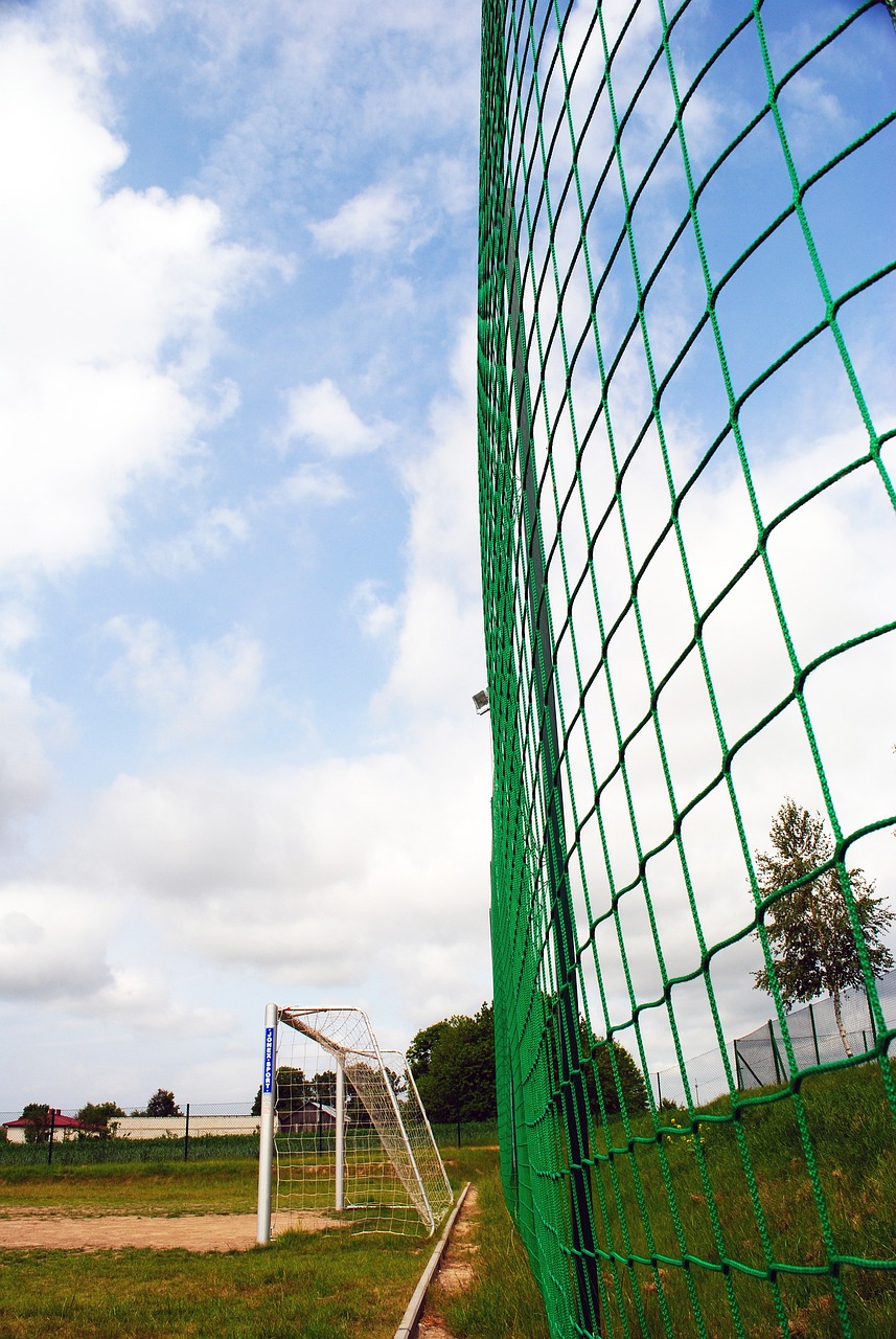 会参赛规模 会参赛规模