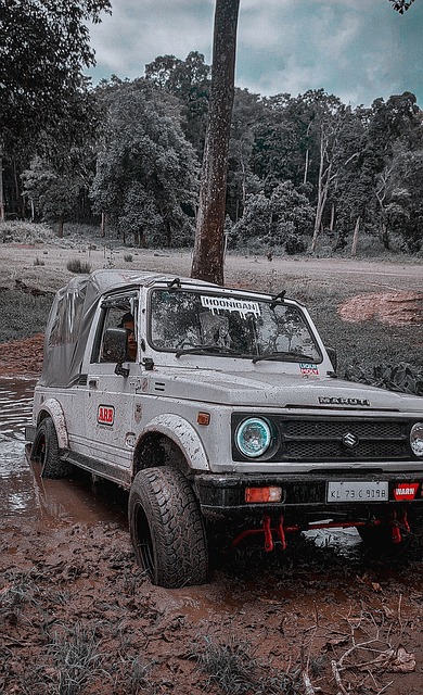 此次比賽中 此次比賽中