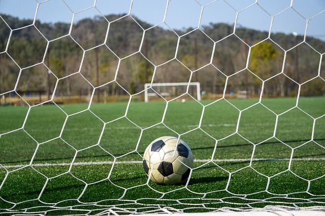 本身带来了 本身带来了