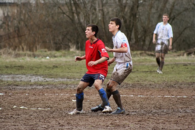 霍伊伦提到 霍伊伦提到