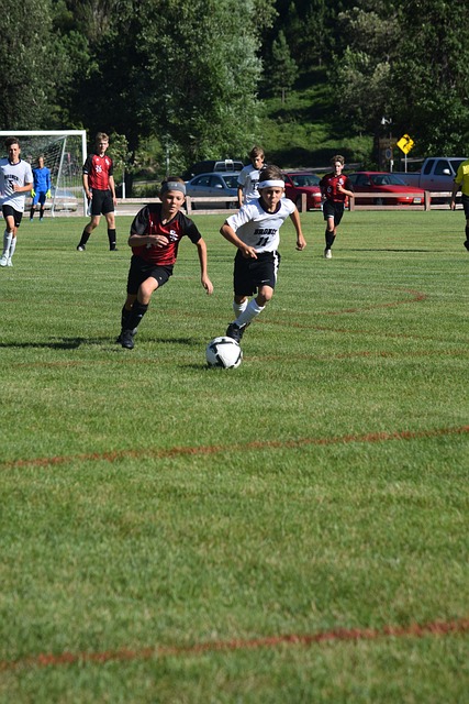 为他的职业 为他的职业