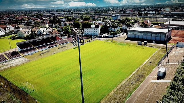 尼克斯本赛 尼克斯本赛